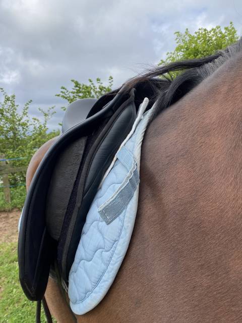 Selle dressage thorowgood 18"