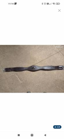Vente sangle Canter 130 