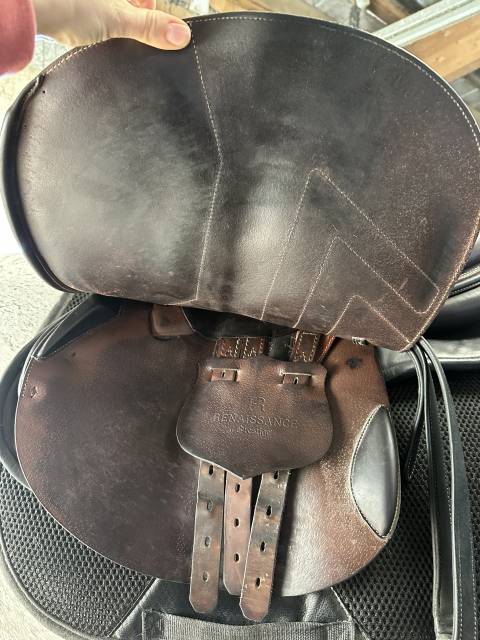 Selle renaissance mixte 18’ année 2021