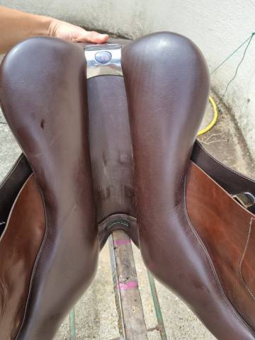 Selle Bates élévation 2014