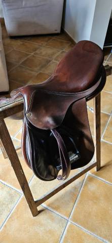 Selle de cheval Bruno Delgrange
