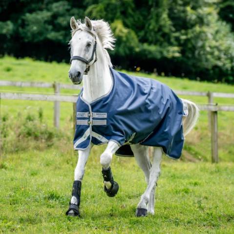 Couverture d'extérieur AMIGO Bravo 12 Turnout 100g  - HORSWARE