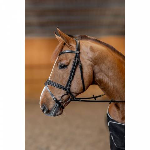 Bridon padded HFI - anatomique rembourré, cuir souple
