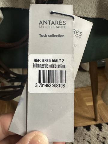 Filet Antar&egrave;s Origin