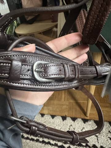 Filet Antar&egrave;s Origin