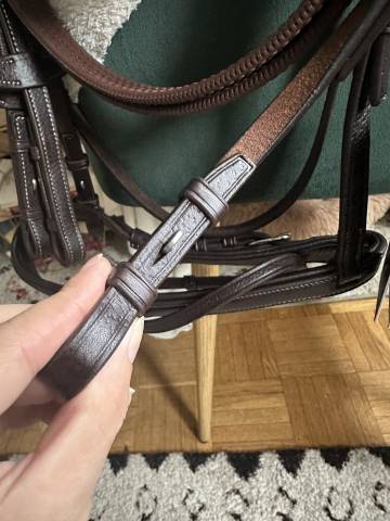 Filet Antar&egrave;s Origin