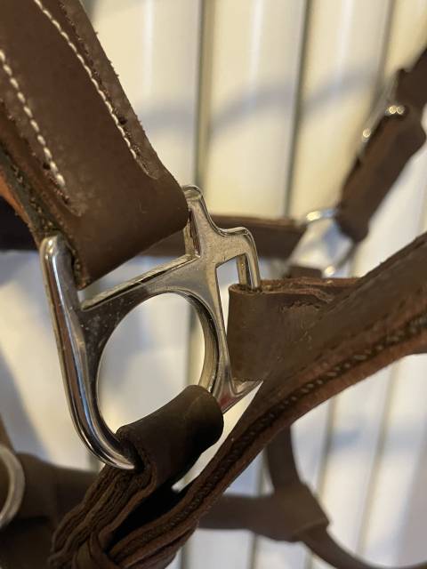 Licol Fouganza en cuir synthétique 