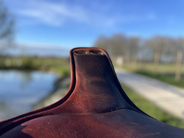 Sangle Bavette Antares courte 50cm