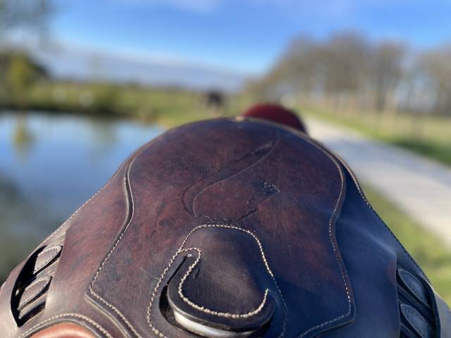 Sangle Bavette Antares courte 50cm