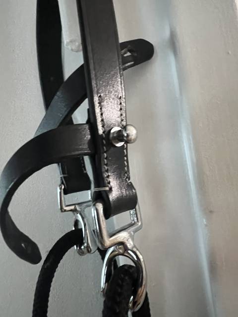 Gogue noir cheval + rênes 