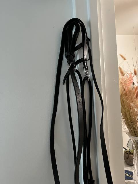 Gogue noir cheval + rênes 