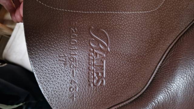 Selle Bates Elevation +