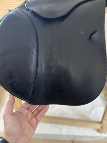 Selle Antares 17’ - Mixte/CSO