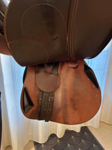 Selle Antares évolution 2022