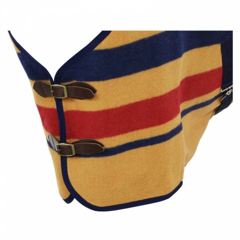 Chemise Newmarket - PETITPAS - Protection hivernale