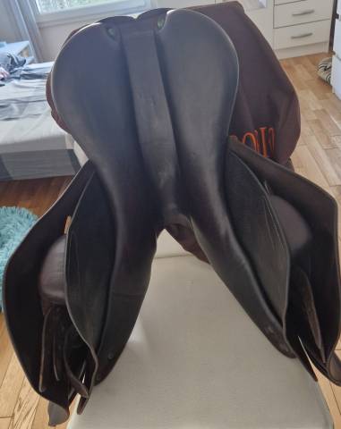 Selle Equipe Expression 17"