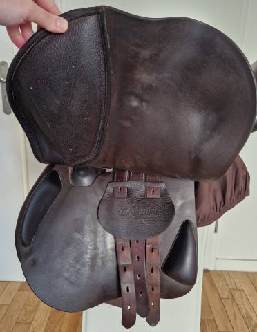 Selle Equipe Expression 17"