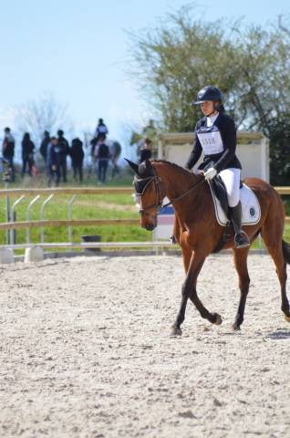 jument sport , loisir 5 ans 