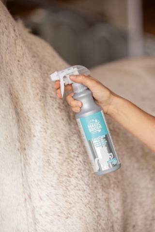 Shampoing Sec 500ml Magic Brush Easycare