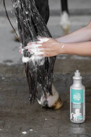 Shampoing Prot&eacute;ines de Bl&eacute; Magic Brush 1L