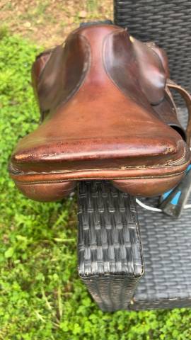 Selle Pessoa 16,5”