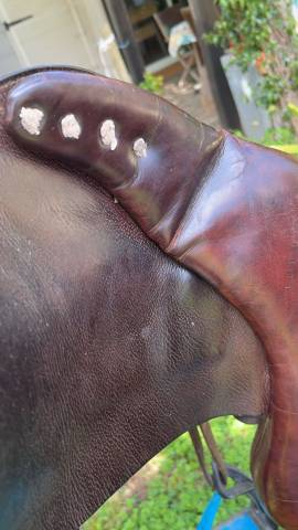 Selle Pessoa 16,5”