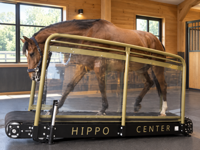 TAPIS MARCHEUR HIPPOCENTER