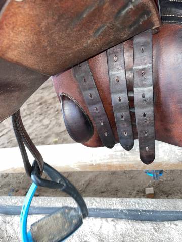 Selle Forestier Séoul 