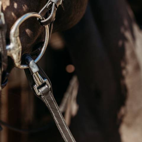 R&ecirc;nes hunter avec grip Fayren PresTeq