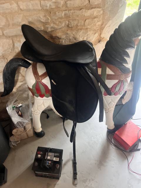 Wintec pro dressage 