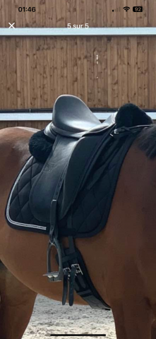 Selle de dressage Childeric 