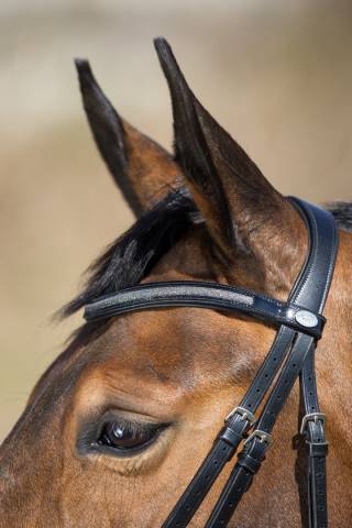 Bridon Sparkly noir HFI