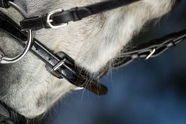 Bridon Sparkly noir HFI