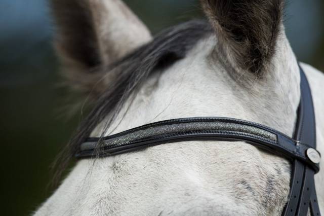 Bridon Sparkly noir HFI