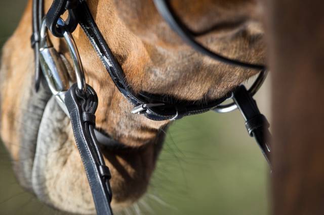 Bridon Sparkly noir HFI