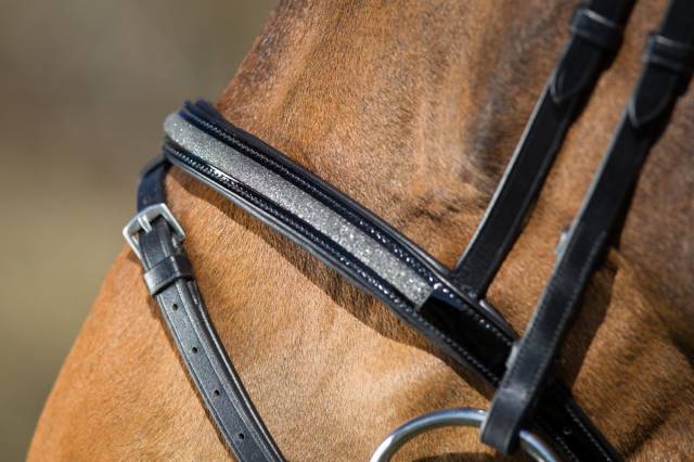 Bridon Sparkly noir HFI