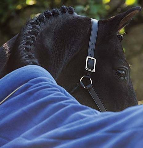 Chemise Polaire Cosy Rambo