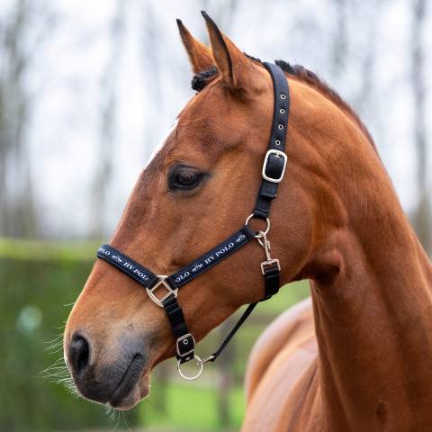 Licol Nena - HV POLO