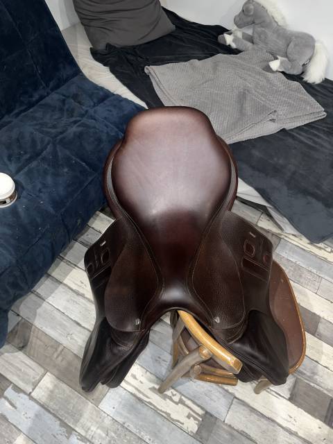 Selle GBS 17,5 pouces 2024