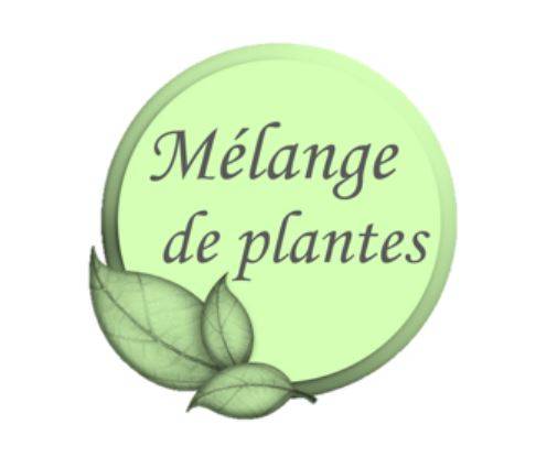 Algomax - ESC LABORATOIRE