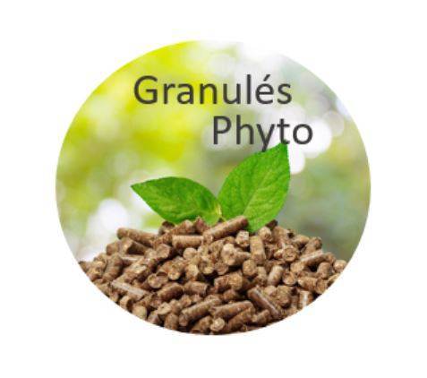 Broncho Pulm - ESC LABORATOIRE