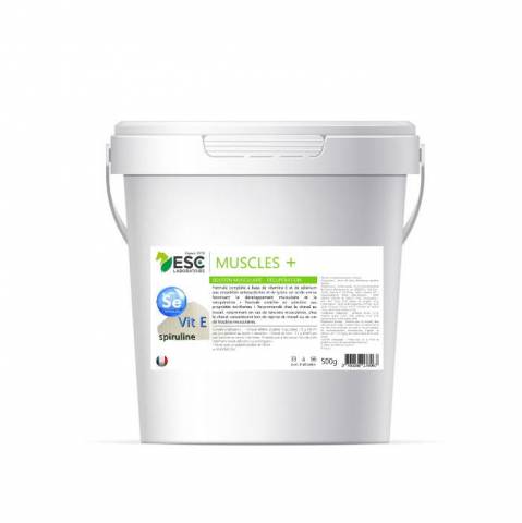 Muscle + - ESC LABORATOIRE