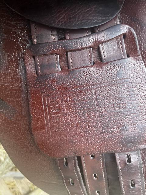 Time rider 17"5 nickel