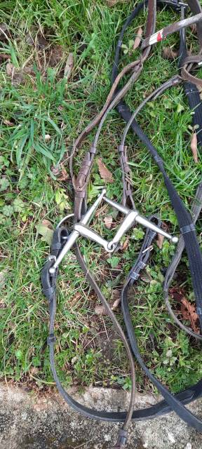 Lot 5 filets complets cheval