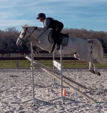 Poney de D de 6 ans - PFS - prêt 6 ans D/ pelite 