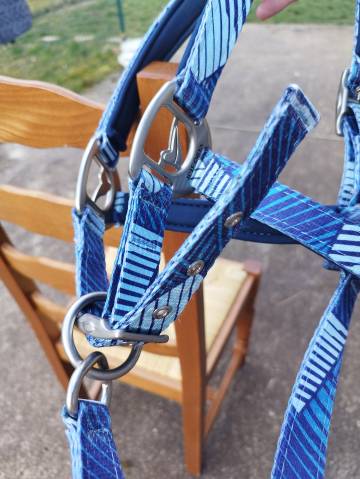 Licol Eurostar Bleu grand cheval