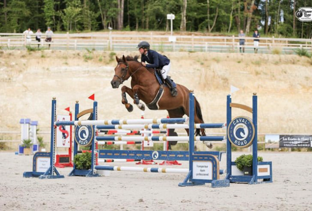 Enseignante/Coach BPJEPS et DEJEPS