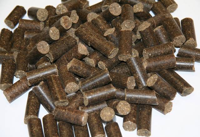 Friandises pour chevaux Classic Delizia® Framboise - Kerbl