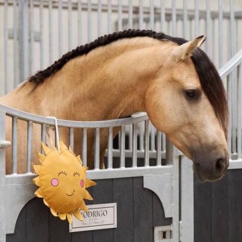 Jouet de box Sunny copain de box - IMPERIAL RIDING