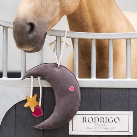 Jouet de box Moony - IMPERIAL RIDING